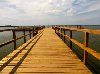 dom-wolnostojacy-sprzedaz